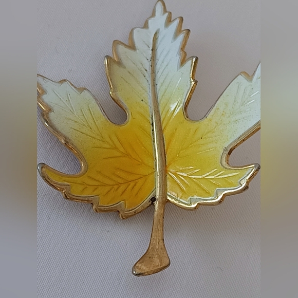 🔆𝟲/$𝟮𝟬 𝑽𝒕𝒈. 𝑾𝒉𝒊𝒕𝒆 𝑮𝒐𝒍𝒅/𝒀𝒆𝒍𝒍𝒐𝒘 𝑳𝒆𝒂𝒇 𝑩𝒓𝒐𝒐𝒄𝒉 - Picture 3 of 6